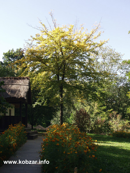 Рання осінь 27