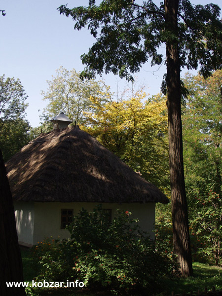 Рання осінь 26