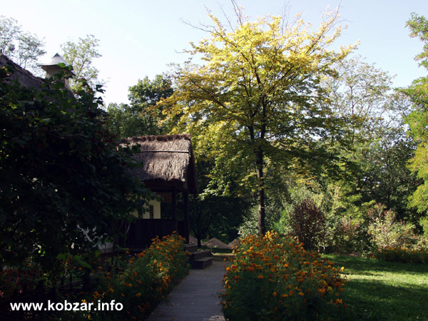 Рання осінь 28