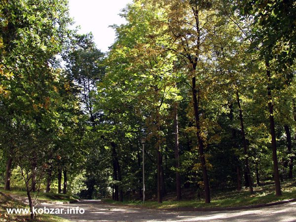 Рання осінь 34